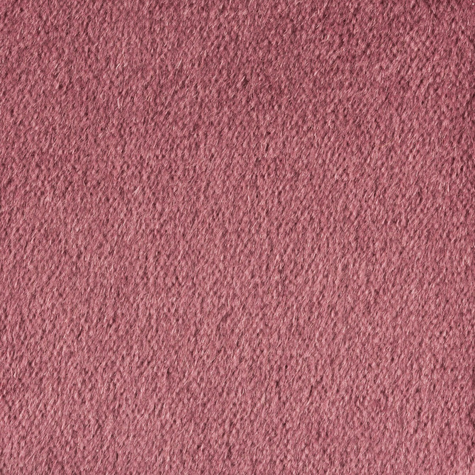Kravet Couture Fabric Plazzo Mohair Tulipwood - MOHAIR - 100% Netherlands HEAVY Horizontal: - and Vertical: - 55 - My Fabric Connection -