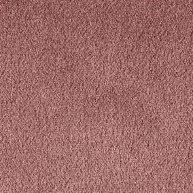 Kravet Couture Fabric 34259.701 Plazzo Mohair Dusty Rose - Mohair 100% Netherlands Heavy H" -, V: - 55 inches - My Fabric Connection - Kravet Couture