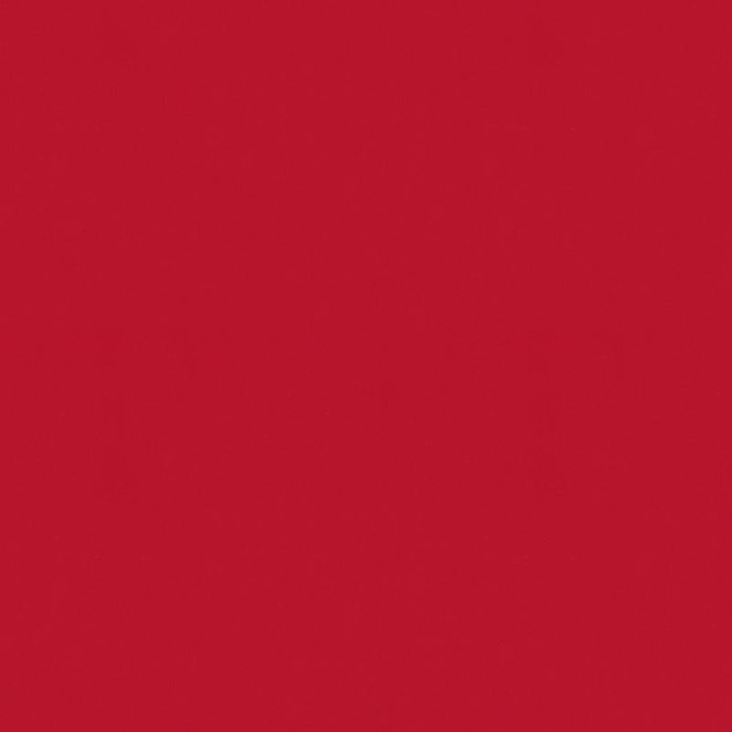 Kravet Design Fabric 34064.919 Silk Bouquet Primary Red Kate Spade Classics Silk 100% India see sample Horizontal: see sample and Vertical: see sample 54 inches - My Fabric Connection -