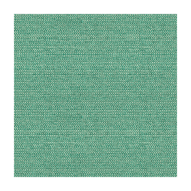 Kravet Design Fabric Tully Aruba KATE SPADE CURIOSITIES POLYESTER - 100% China HEAVY Horizontal: and Vertical: 54.5 - My Fabric Connection -