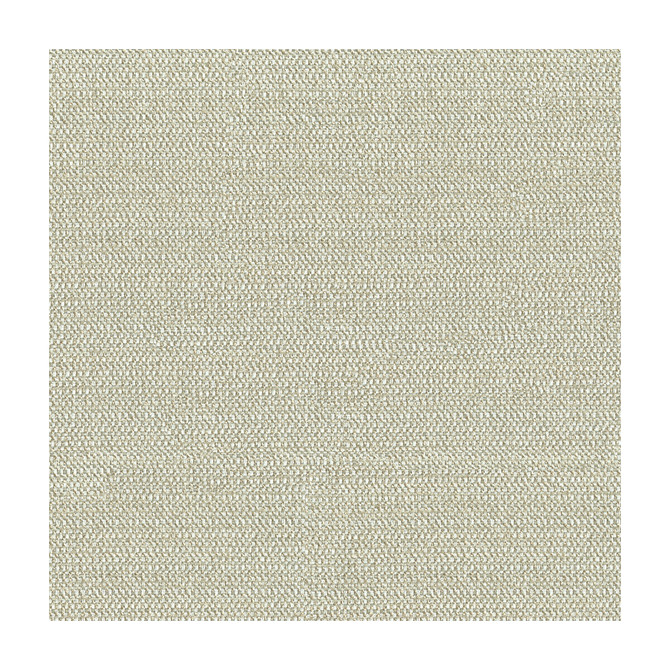 Kravet Design Fabric Tully Flaxseed KATE SPADE CURIOSITIES POLYESTER - 100% China HEAVY Horizontal: and Vertical: 54.5 - My Fabric Connection -