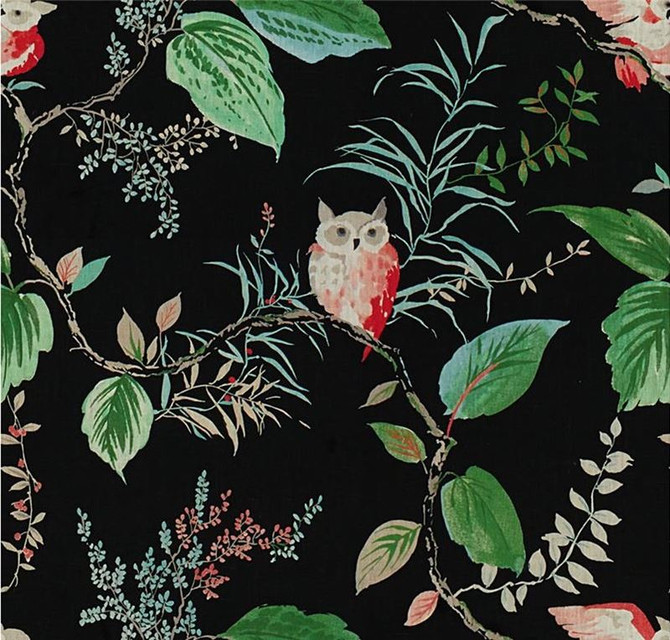 Kravet Design Fabric OWLISH.819 Owlish Black Kate Spade Curiosities Linen 100% China Medium Horizontal: 27 inches and Vertical: 27 inches 54 inches - My Fabric Connection -