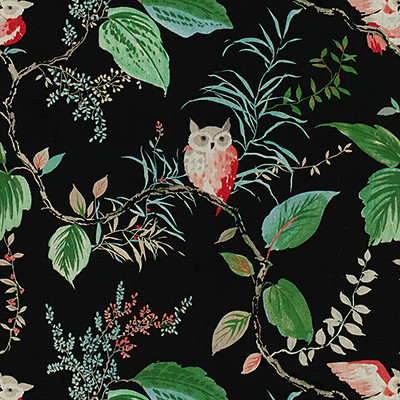 Kravet Design Fabric Owlish Black
