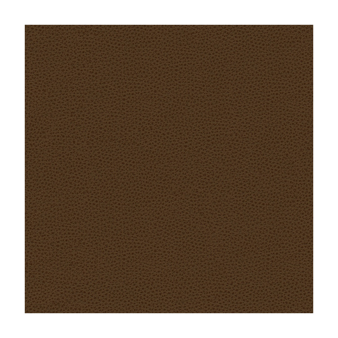 Kravet Design Fabric Rigel-6 POLY VINYL CHLORIDE - 100% Taiwan HEAVY Horizontal: and Vertical: 54 - My Fabric Connection -