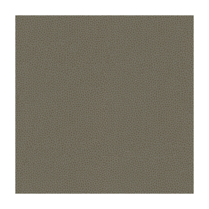 Kravet Design Fabric Rigel-11 POLY VINYL CHLORIDE - 100% Taiwan HEAVY Horizontal: and Vertical: 54 - My Fabric Connection -