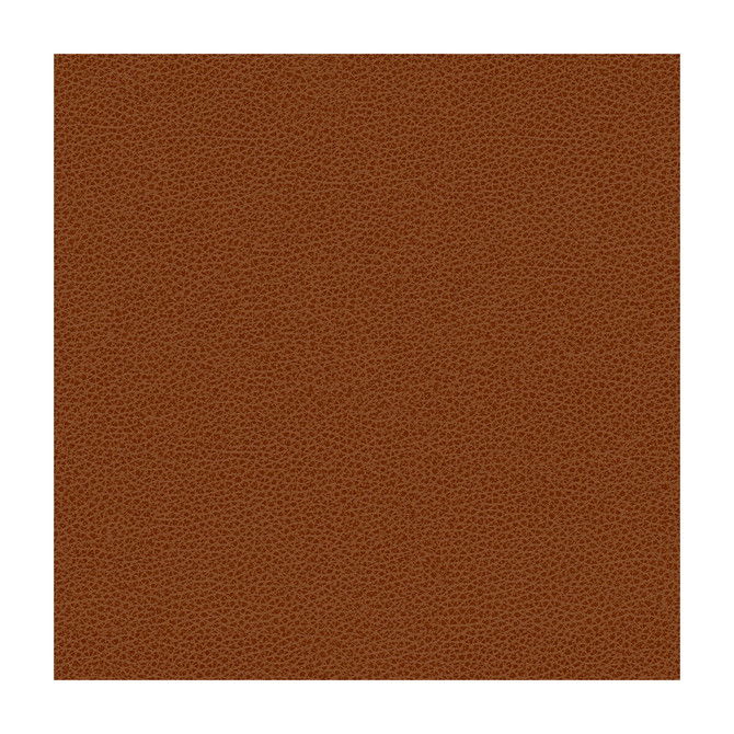 Kravet Contract Fabric Bess-24 POLY VINYL CHLORIDE - 100% Taiwan HEAVY Horizontal: and Vertical: 54 - My Fabric Connection -