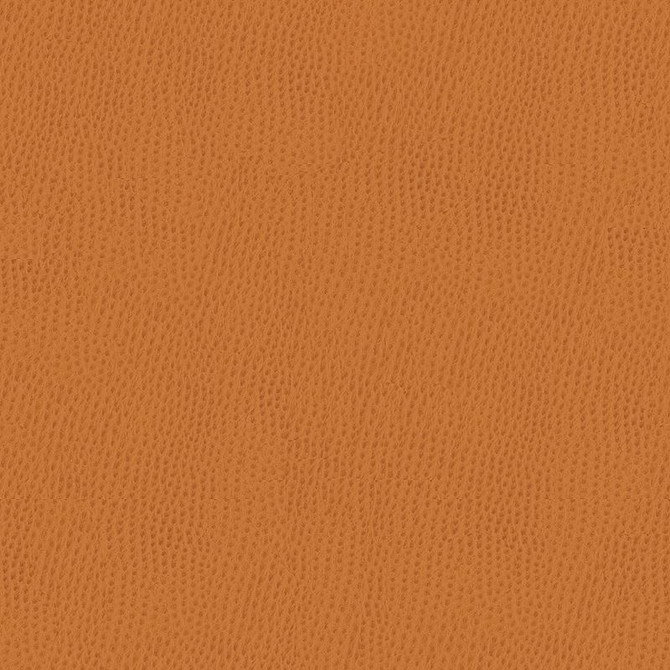 Kravet Contract Fabric BELUS.212 in our sample Poly Vinyl Chloride 100% Taiwan Heavy Horizontal: See Sample and Vertical: See Sample 54 inches - My Fabric Connection -