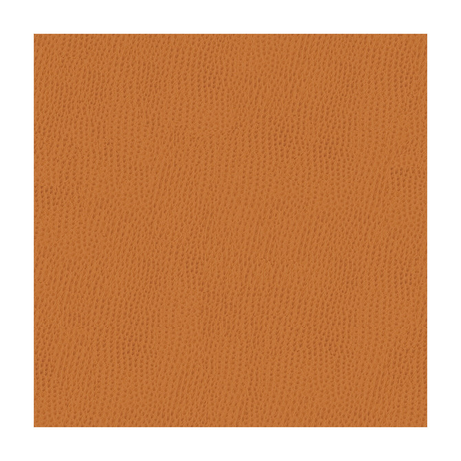 Kravet Contract Fabric Belus-212 POLY VINYL CHLORIDE - 100% Taiwan HEAVY Horizontal: and Vertical: 54 - My Fabric Connection -