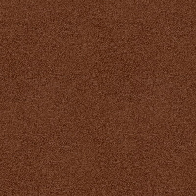 Kravet Contract Fabric BALARA.6 our website for purchase 100% Leather China Heavy Horizontal: see sample and Vertical: see sample 55 inches - My Fabric Connection -