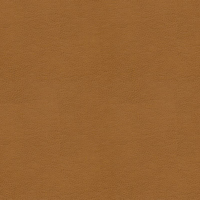 Kravet Contract Fabric BALARA.16 - Polyurethane 100% China Heavy H" -, V: - 55 inches - My Fabric Connection - Kravet Contract