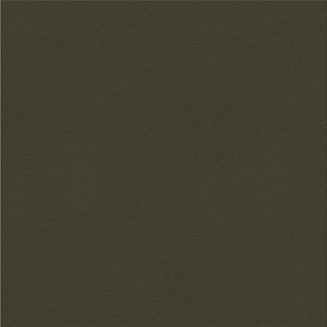 Kravet Smart Fabric ALINA.21 our website for purchase 100% Leather China Heavy Horizontal: see sample and Vertical: see sample 55 inches - My Fabric Connection -