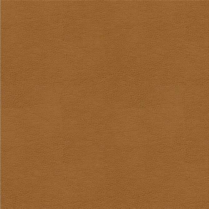 Kravet Smart Fabric ALINA.16 - Polyurethane 100% China Heavy H" -, V: - 55 inches - My Fabric Connection - Kravet Smart