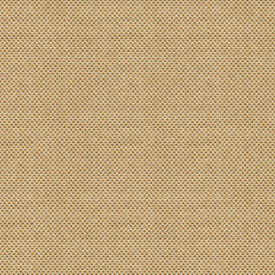 Kravet Design Fabric Sener Ochre