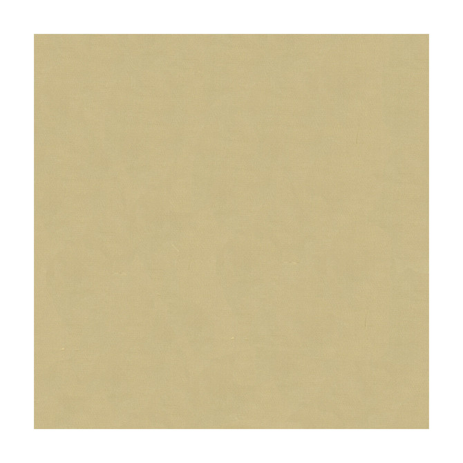Kravet Design Fabric 4070-16 - SILK - 100% India - Horizontal: - and Vertical: - 53.5 - My Fabric Connection -