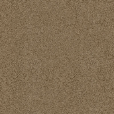 Kravet Contract Fabric Abilene Stone