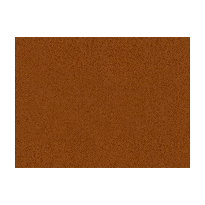 Kravet Contract Fabric Abilene Penny POLYURETHANE - 100% China HEAVY Horizontal: and Vertical: 54 - My Fabric Connection -