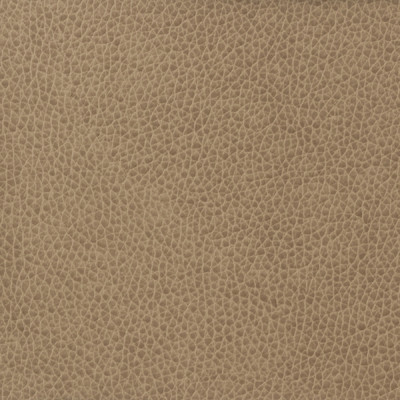 Kravet Basics Fabric Kravet Basics Matter-1611