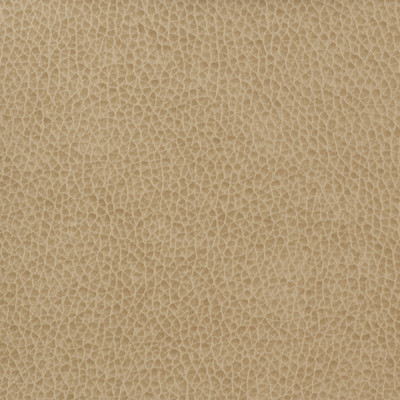 Kravet Basics Fabric Kravet Basics Matter-1616
