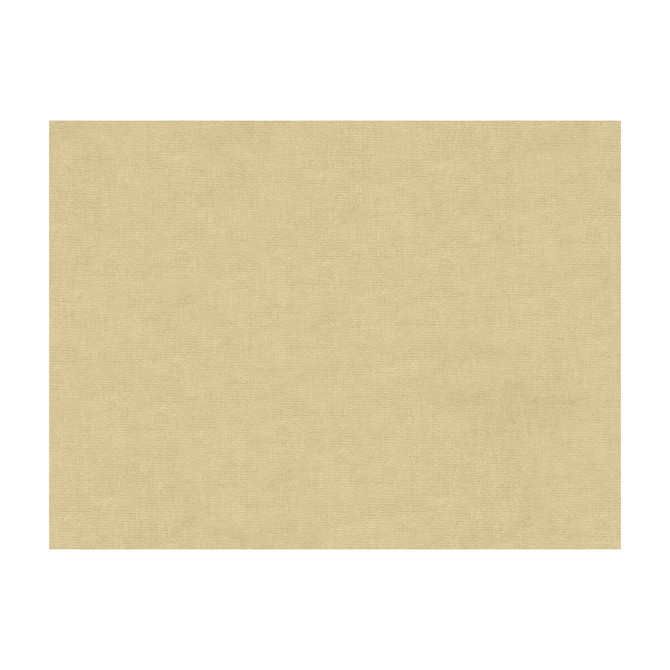Kravet Design Fabric 33125-1111 COTTON - 61%;VISCOSE - 39% Netherlands Horizontal: and Vertical: 55 - My Fabric Connection -