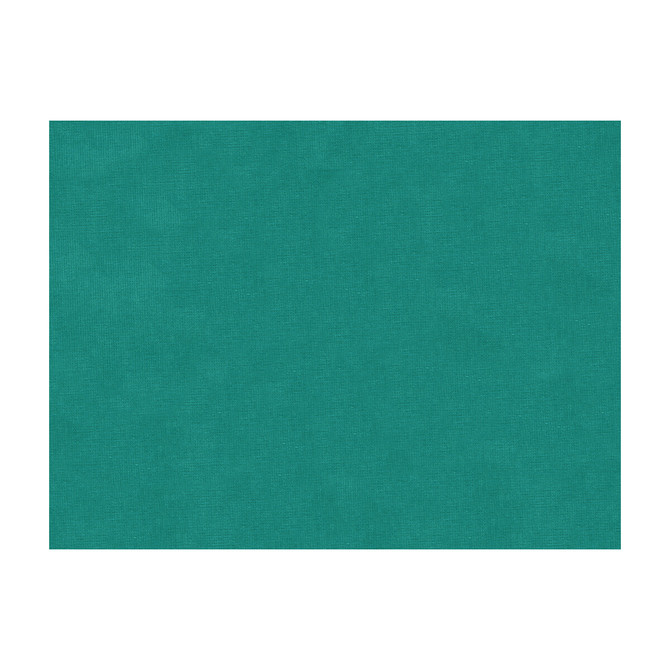 Kravet Design Fabric 33125-13 COTTON - 61%;VISCOSE - 39% Netherlands Horizontal: and Vertical: 55 - My Fabric Connection -