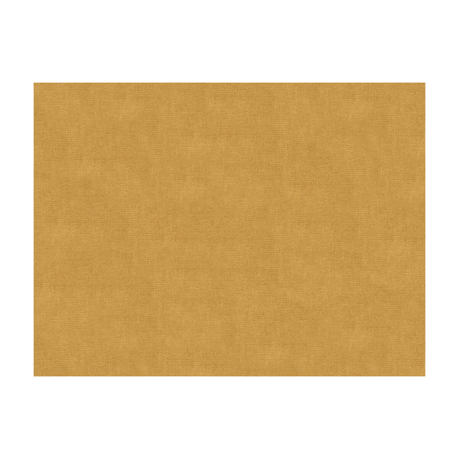 Kravet Design Fabric 33125-404 COTTON - 61%;VISCOSE - 39% Netherlands Horizontal: and Vertical: 55 - My Fabric Connection -