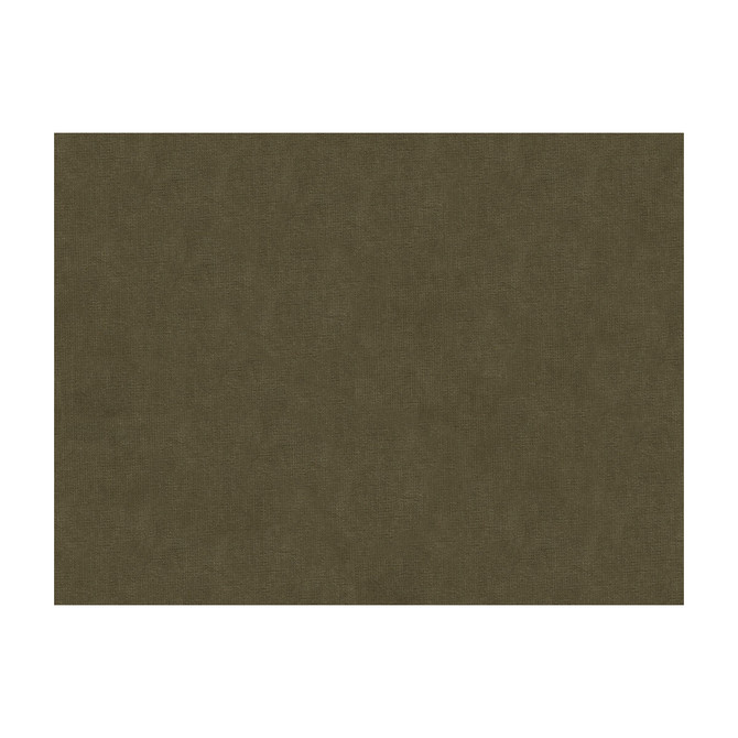 Kravet Design Fabric 33125-611 COTTON - 61%;VISCOSE - 39% Netherlands Horizontal: and Vertical: 55 - My Fabric Connection -