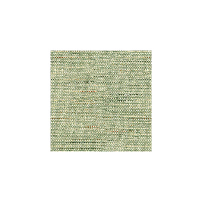Kravet Basics Fabric 33135-135 ECHO HEIRLOOM INDIA POLYESTER - 80%;COTTON - 20% China HEAVY Horizontal: and Vertical: 56 - My Fabric Connection -