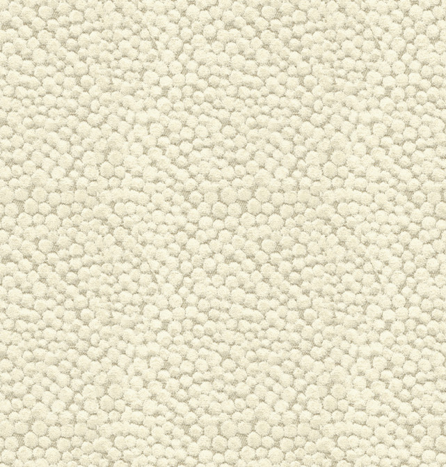 Kravet Couture Fabric 32972.1116 Polka Dot Plush Natural Modern Colors III Viscose 55%, Cotton 25%, Polyester 20% Belgium Heavy Horizontal: 7 inches and Vertical: 7 inches 54 inches - My Fabric Connection -