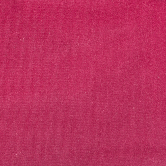 Kravet Couture Fabric Velvet Treat Hot Pink MODERN COLORS III COTTON - 100% Netherlands HEAVY Horizontal: 0 and Vertical: 0 54 - My Fabric Connection -