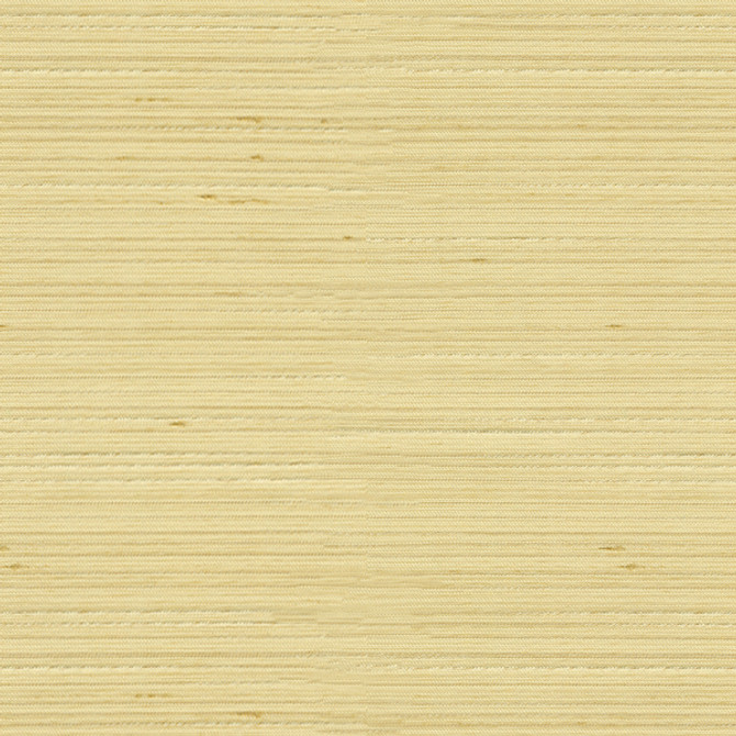 Kravet Basics Fabric 3808.1116 our website for purchase Polyester 100% India see sample Horizontal: see sample and Vertical: see sample 54 inches - My Fabric Connection -