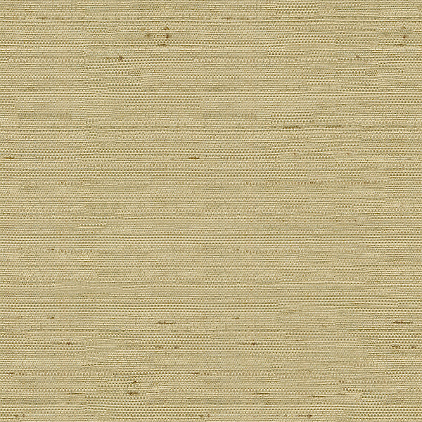 Kravet Basics Fabric 3807.1616 - Polyester 100% India - H" -, V: - 54 inches - My Fabric Connection - Kravet Basics