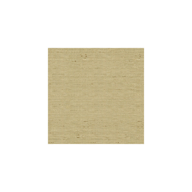 Kravet Basics Fabric 3807-1616 - POLYESTER - 100% India - Horizontal: - and Vertical: - 54 - My Fabric Connection -