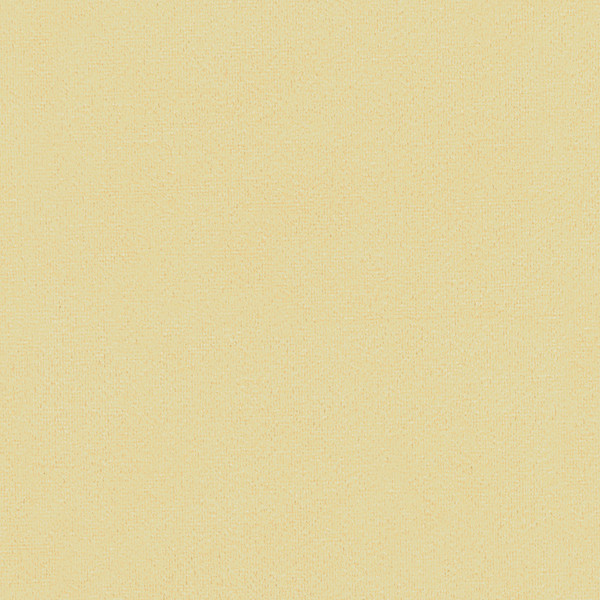 Kravet Basics Fabric 32642.1116 Broadmoor Cameo Perfect Plains Polyester 100% China Heavy Horizontal: see sample and Vertical: see sample 54 inches - My Fabric Connection -