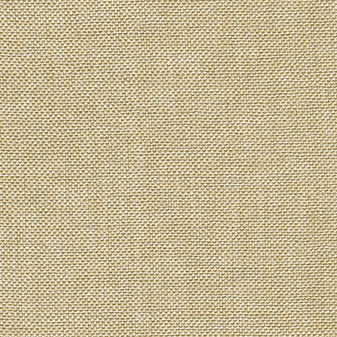 Kravet Design Fabric 32007.116 Kolam Sandstone Candice Olson Polyester 63%, Viscose 35%, Polyamide 2% China Heavy Horizontal: See Sample and Vertical: See Sample 55 inches - My Fabric Connection -
