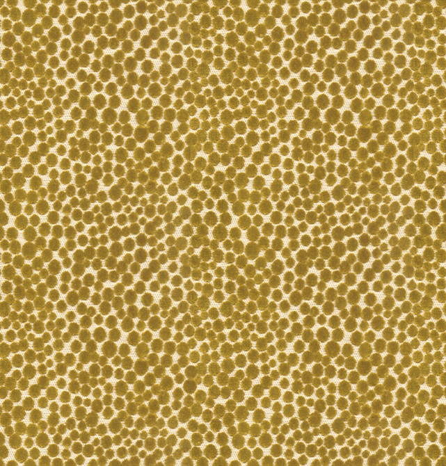 Kravet Couture Fabric 32972.23 Polka Dot Plush Quince Modern Colors III Viscose 55%, Cotton 25%, Polyester 20% Belgium Heavy Horizontal: 7 inches and Vertical: 7 inches 54 inches - My Fabric Connection -