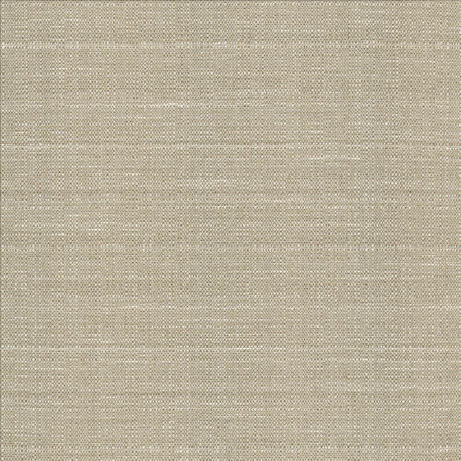 Kasmir Fabric Abalone Vintage 1449 86% Polyester 14% Viscose INDIA 98,000 Martindale Cycles Horizontal: 0 Inches and Vertical: 0 Inches 55 - My Fabric Connection -