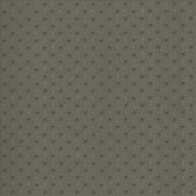 Kasmir Fabric Chiseled Dove 5119 62% Polyester
38% Cotton
 INDIA </p><p>Repeat: Horizontal: 1 2/8 inches and Vertical: 1 inches 54 - My Fabric Connection -