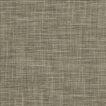 Kasmir Fabric Foundation Granite 5120 64% Polyester 18% Cotton 9% Linen 9% Rayon INDIA 30,000 Wyzenbeek Double Rubs H: N/A, V: N/A 54 - My Fabric Connection - Kasmir