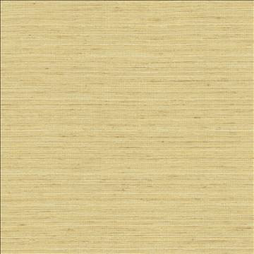 Kasmir Fabric Karma Ecru