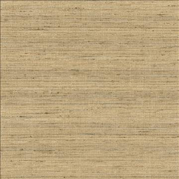 Kasmir Fabric Karma Latte