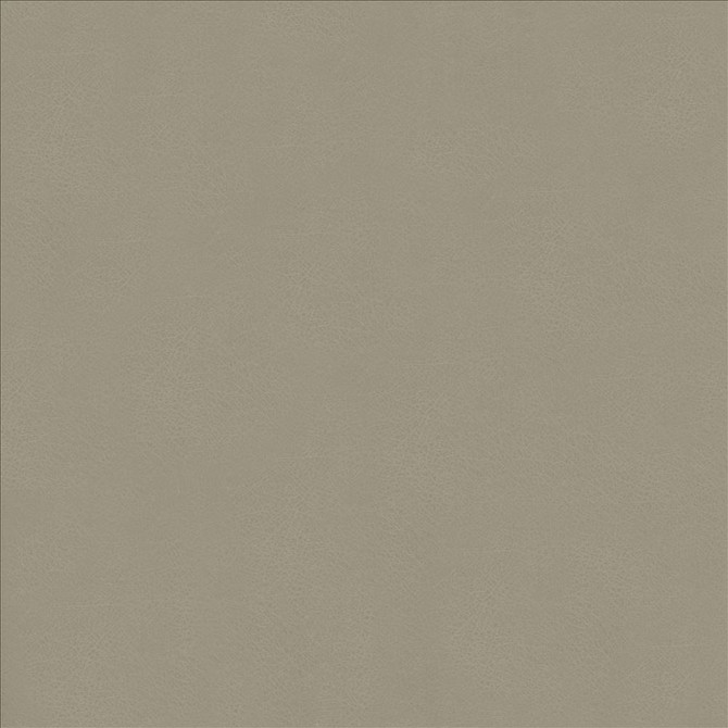 Kasmir Fabric Odin Ash 5127 100% Polyurethane
 CHINA 100,000 Wyzenbeek Double Rubs Horizontal: N/A and Vertical: N/A 53 - My Fabric Connection -