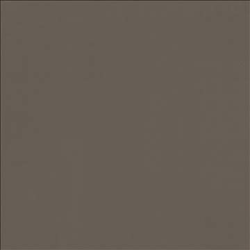 Kasmir Fabric Odin Oxford 5127 100% Polyurethane CHINA 100,000 Wyzenbeek Double Rubs H: N/A, V: N/A 54 - My Fabric Connection - Kasmir