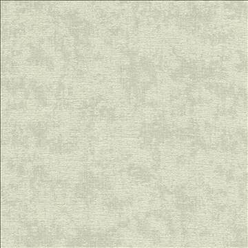 Kasmir Fabric Relic Vapor 5120 100% Polyester CHINA 51,000 Wyzenbeek Double Rubs H: 14 7/8 inches, V: 21 6/8 inches 57 - My Fabric Connection - Kasmir