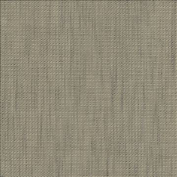 Kasmir Fabric Riddler Granite 5123 100% Polyester INDIA 51,000 Wyzenbeek Double Rubs H: 3/8 inches, V: 3/8 inches 54 - My Fabric Connection - Kasmir