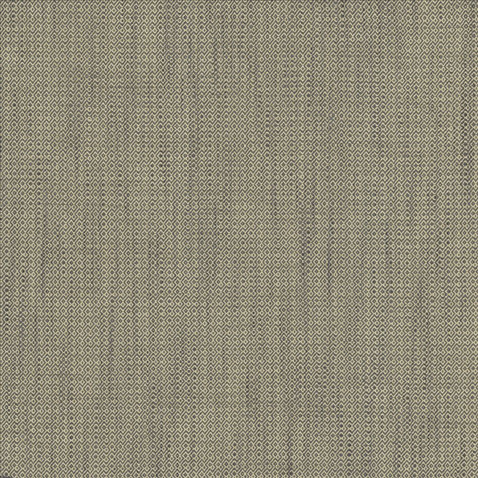 Kasmir Fabric Riddler Granite 5123 100% Polyester INDIA 51,000 Wyzenbeek Double Rubs Horizontal: 3/8 inches and Vertical: 3/8 inches 54 - My Fabric Connection -