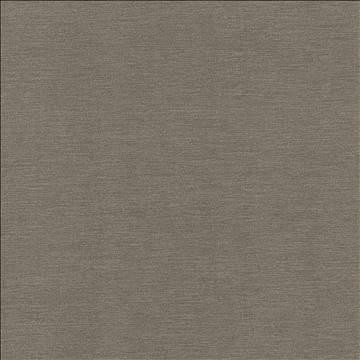Kasmir Fabric Rouen Slate