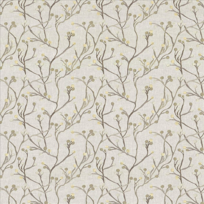 Kasmir Fabric Terrarium Shadow See sample 60% Cotton
40% Polyester
 INDIA 25,000 Wyzenbeek Double Rubs </p><p>Repeat: Horizontal: 12 6/8 inches and Vertical: 9 2/8 inches 55 - My Fabric Connection -