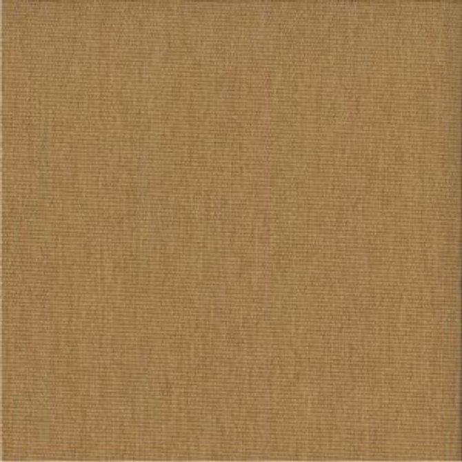 Norbar Fabric Motion Harvest 127 100% POLYESTER CHINA 55" - My Fabric Connection -