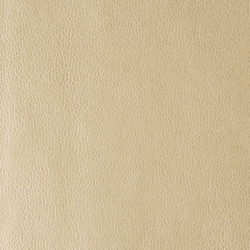 Kravet Contract Fabric RUMORS.116 Rumors Gold Dust our website for purchase 100% Leather China Heavy Horizontal: see sample and Vertical: see sample 54 inches - My Fabric Connection -