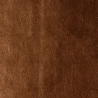 Kravet Design Fabric Kerinci Lucky Penny